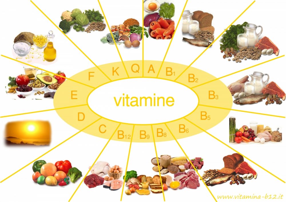 Vitaminas y Minerales