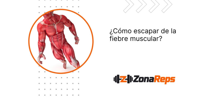 ¿Cómo escapar de la fiebre muscular?