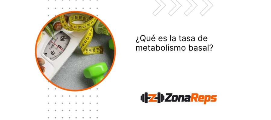 ¿Qué es la tasa de metabolismo basal?