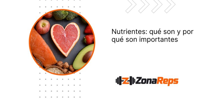 Qué son los nutrientes y cuál es su importancia para el organismo.